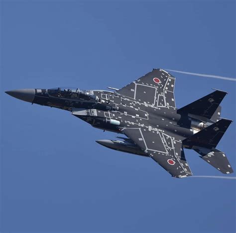 Mitsubishi F-15J [1241x1223] : r/WarplanePorn
