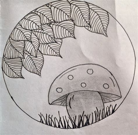 Mushroom in the Forest - Drawing Stock Image - Image of mushroom, book ...