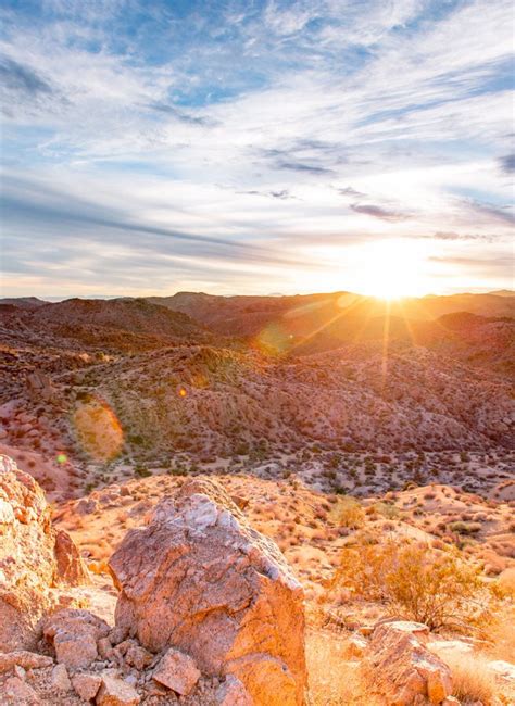 Fall In Joshua Tree More Than Just Parks National Parks Guides