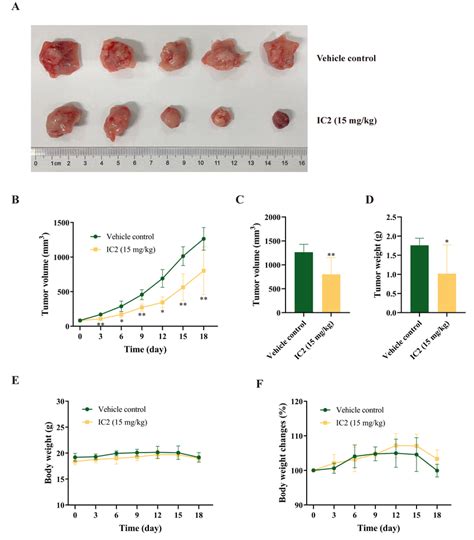 Antitumor Activity Of Ic2 In 4t1 Mouse Xenograft Model A