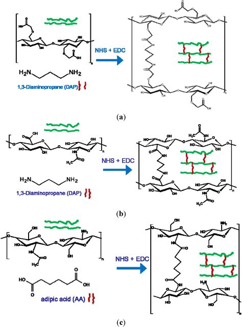 Polymers Free Full Text Polysaccharide Based Hydrogels The Key