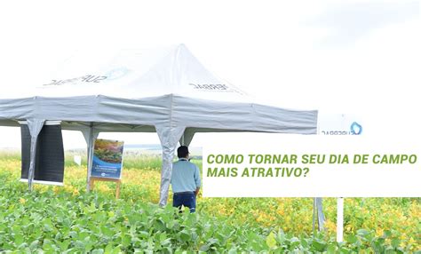 Como Tornar Seu Dia De Campo Mais Atrativo Ag Ncia Inusitada