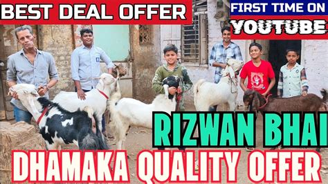 Dhamaka Quality Offer Sab Nagine Climate Set Goats Lo Aur Shouk Karo