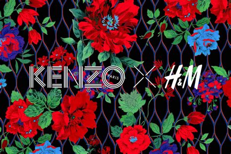 Kenzo Flower Wallpaper