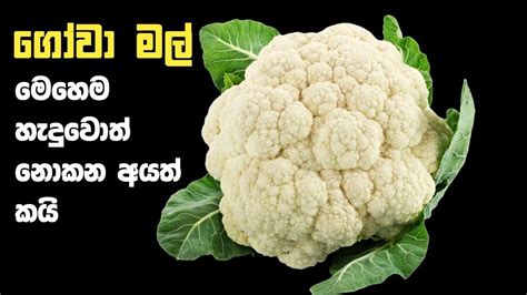 දවසටම මේක විතරක් හොදටම ඇති😋🔥 | Gowa mal cauliflower curry recipe in ...