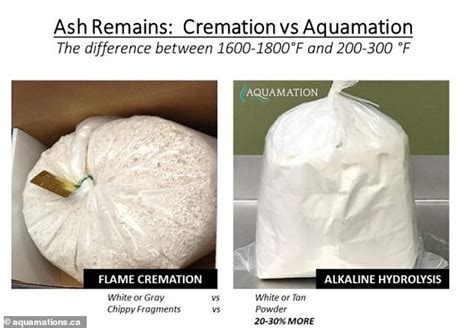 Water Cremations Are Rising In Popularity Across America As An Eco