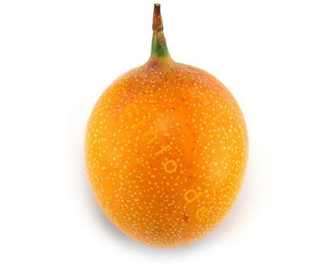 Grenadilla (Passiflora liguralis) - Anzucht, Pflege und Kultur einer ...