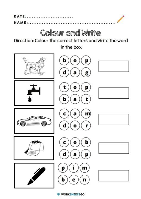 Three Letter Words Worksheet | WorksheetsGO