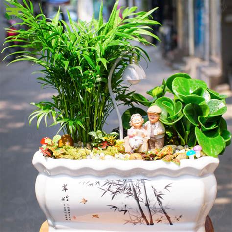 Trang Trí Tiểu Cảnh Mini - Home Home