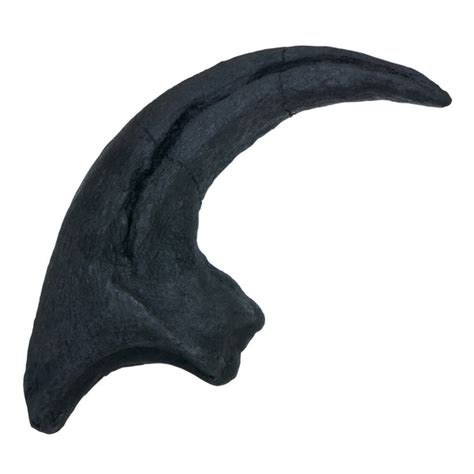 Allosaurus Claw Replica Fossil Triassica