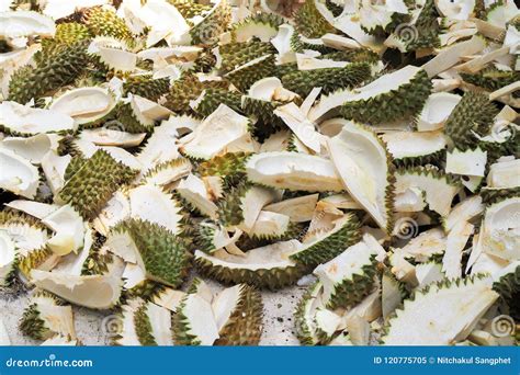 Sliced Durian Peel Stock Image Image Of Tropical Export 120775705