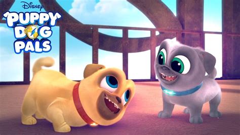 Puppy Dog Pals English Episode 3 Youtube