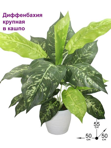 Купить Искусственное растение Диффенбахия крупная 55см в кашпо ...