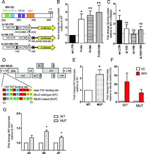 β Catenin Modulates Hiv Transcription In Cd4 T Cells Via Tcf 4 Binding Download Scientific