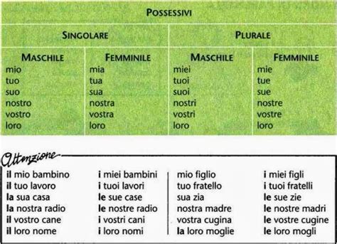 Pronome Possessivo Em Italiano - Bakker Idiomas: Pratique o uso dos Pronomes Possessivos em Italiano