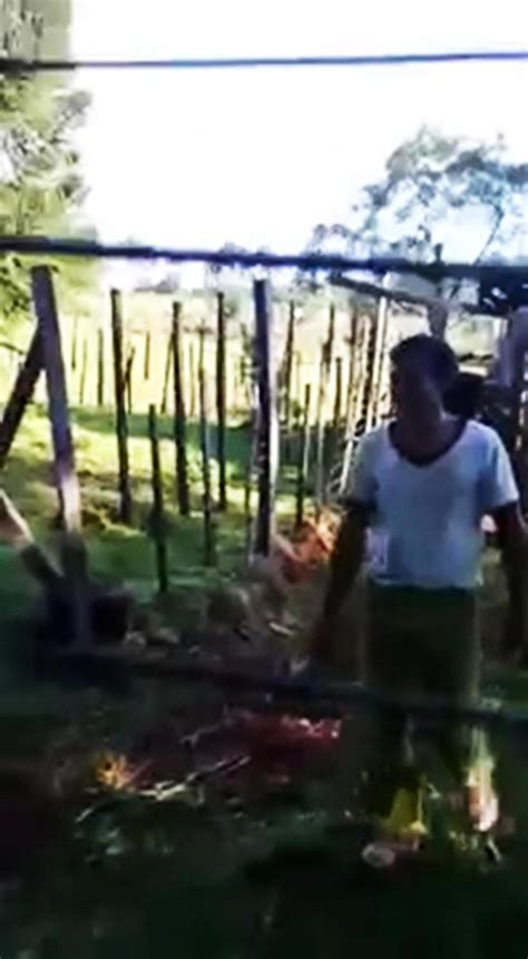 Shocking Moment Farmer Caught His Pervert Neighbour Having Sex With One Of His COWS The Irish Sun