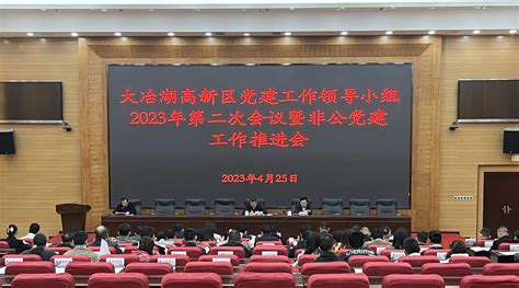 【保持“拼抢实”·奋进“五十强” 聚焦八大行动之党建引领】大冶湖高新区党建工作领导小组2023年第二次会议暨非公党建工作推进会召开 聚焦重点靶