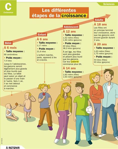 Educational infographic Les différentes étapes de la croissance