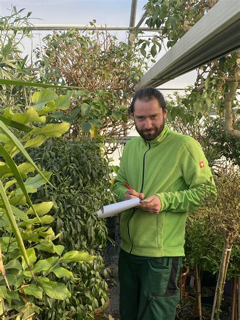 Deine Kübelpflanzen überwintern in besten Händen Blumen Glanz