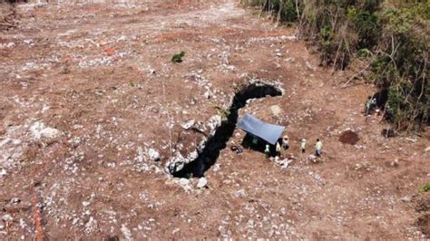 They Discover Vestiges In The Outline Of The Mayan Train Locate