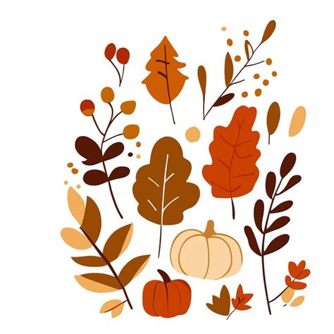 Premium Vector Handdrawn Vector Autumn Leaves Set Handdrawn Illustration