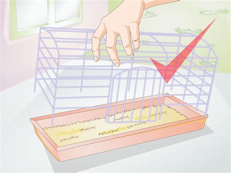 How to Clean a Small Pet Cage: 10 Steps (with Pictures) - wikiHow