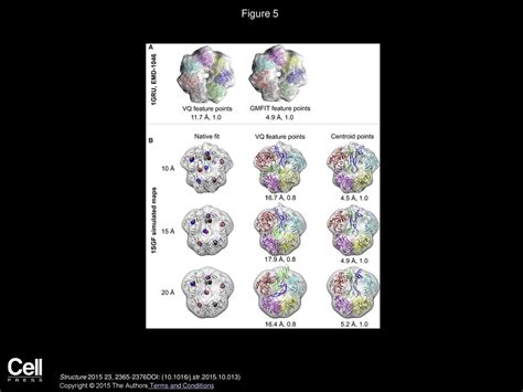 Γ-TEMPy: Simultaneous Fitting of Components in 3D-EM Maps of Their ... 