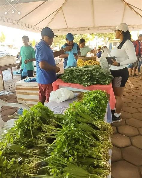 Conheça a Feira de Agricultura Familiar do município de Careiro No Ar