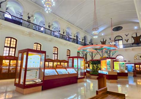 FRI Museums in Dehradun