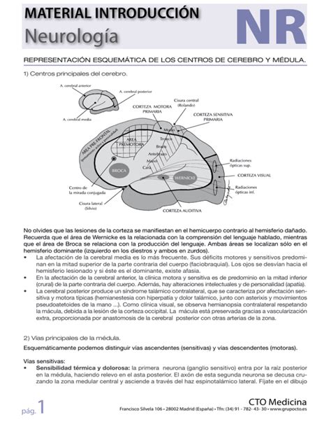 Neurolog A