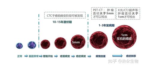 揭秘癌症发生、发展全过程！要捉住最佳干预时机！ 知乎