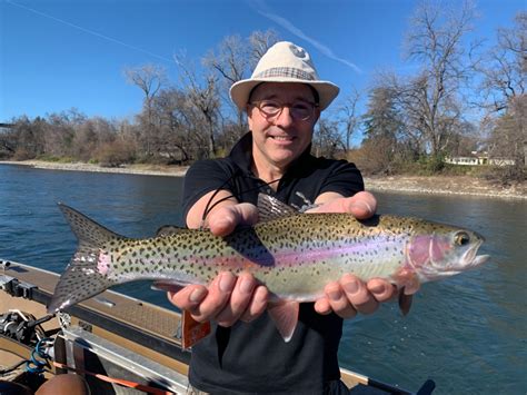 Fishing - Trout fishing on the river