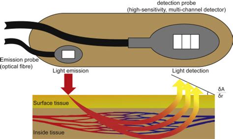 Near-Infrared Spectroscopy | Neupsy Key 