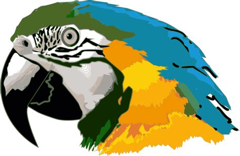 Macaw Clipart - ClipArt Best