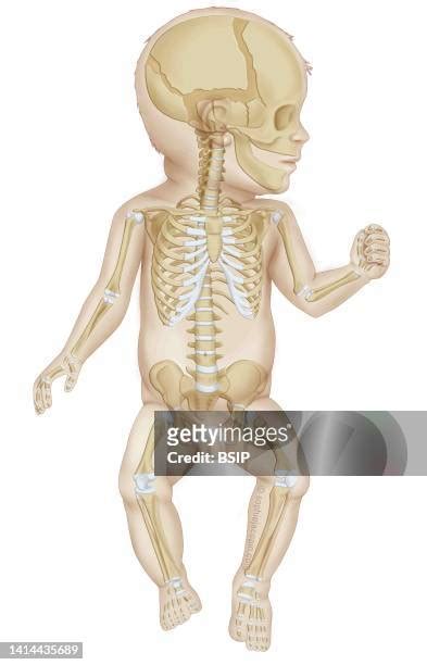 54 Infant Sutures Stock Photos, High-Res Pictures, and Images - Getty Images