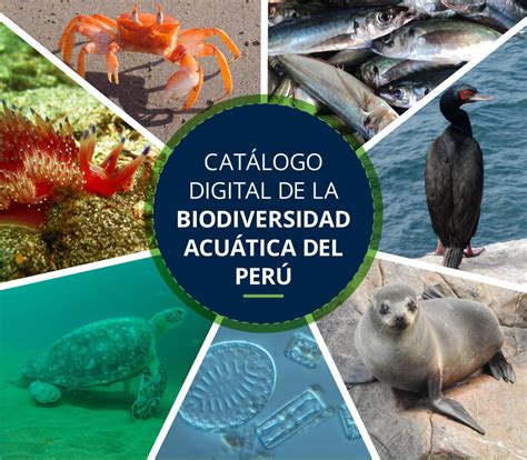 Biodiversidad En El Peru