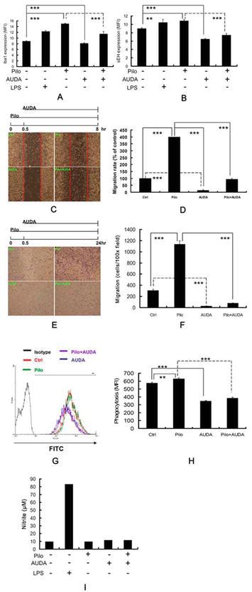 The Role of Microglia in Neuroinflammation | IntechOpen