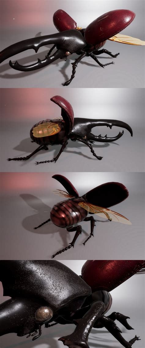 Desire Fx 3d Models Red Hercules Beetle 3d Model