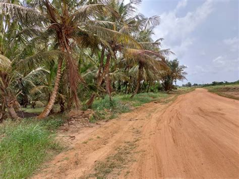 TERRAIN DE 500 M2 EN VENTE JACQUEVILLE BazarAfrique Côte dIvoire