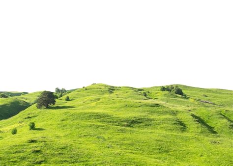 Paisagem panorâmica colina de grama verde isolada no fundo branco