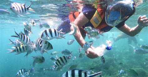 Lombok Gili Islands Private Snorkeling Boat Trip Getyourguide