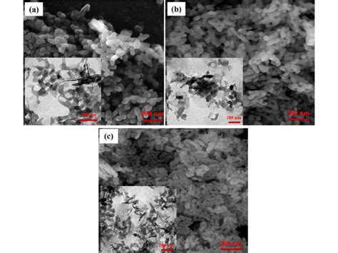 Fesem And Tem Insert Images Of Synthesized Mgo Nanostructures By