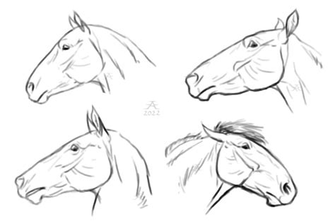 Horse Heads 1 By Afuze On Deviantart