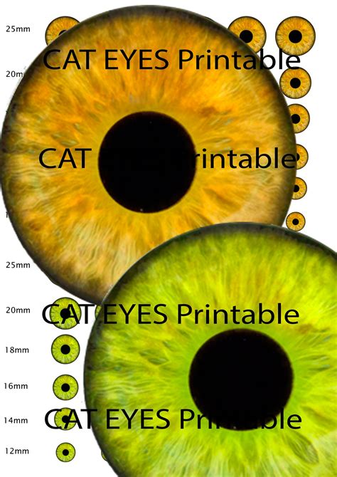 Cat Iris Chart