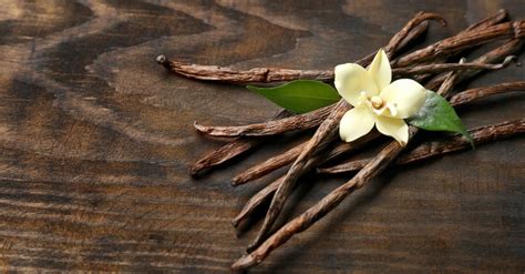 Aroma De Vainilla Propiedades Y Beneficios De Este Olor Ambiseint