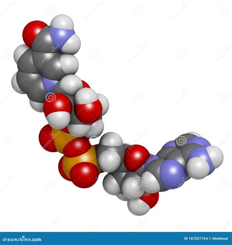 Nicotinamide Adenine Dinucleotide Or Nad Coenzyme Molecule Skeletal