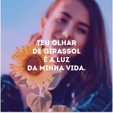 40 frases de girassol para te inspirar a sempre seguir a luz