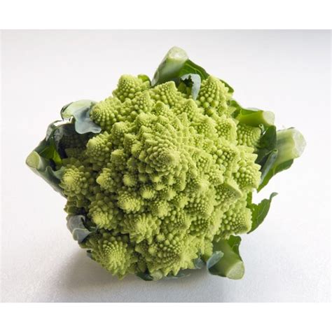 Graines De Chou Brocolis Romanesco