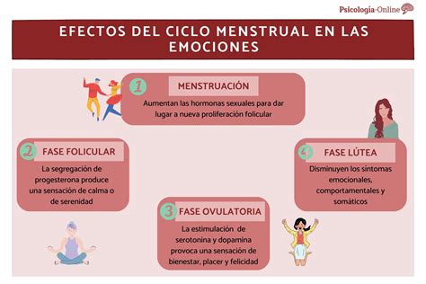 El Impacto De Las Emociones En Tu Equilibrio Hormonal Dr Hernandez