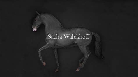 About Sacha Sacha Walckhoff